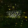 Vincent Dorn - Silenced Woods - Single